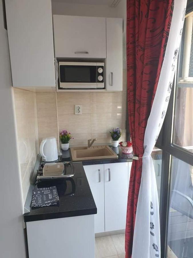 Apartament Alina Saturn Exterior foto
