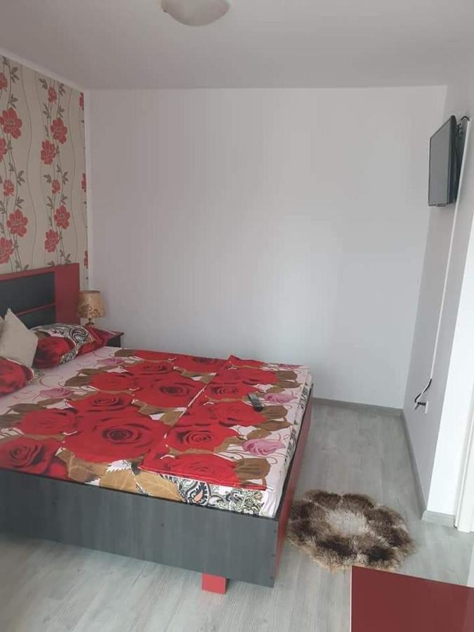 Apartament Alina Saturn Exterior foto