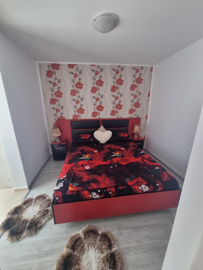 Apartament Alina Saturn Exterior foto